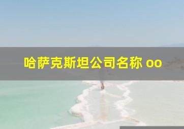 哈萨克斯坦公司名称 oo